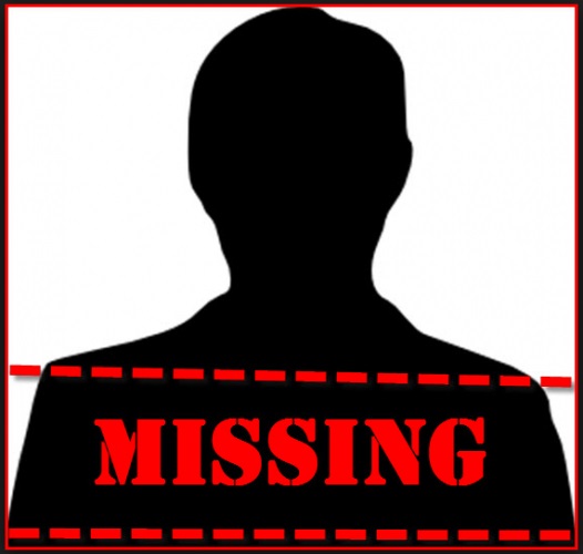 Authorities Searching for Missing Man Near Chandlerville - Vimarsana News