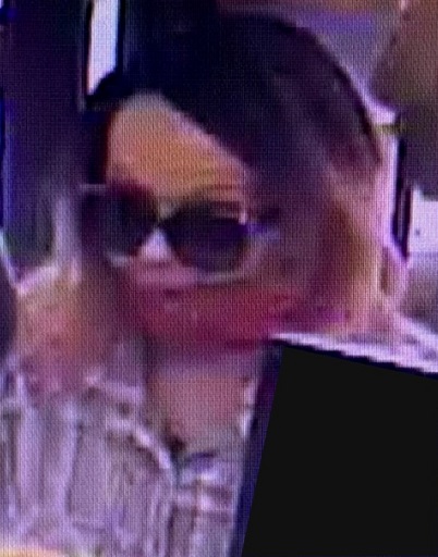 Two Arrested For Sherman Bank Robbery That Caused Regional Manhunt - Vimarsana News
