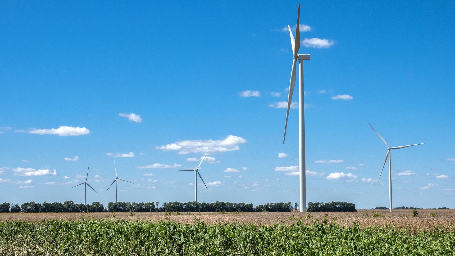 Pike Board Hires Engineering Firm For Oversight on Pittsfield Area Wind Farm - Vimarsana News