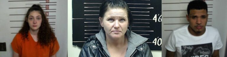 Missouri Trio Sentenced in Calhoun Co. For Role in Theft Ring - Vimarsana News