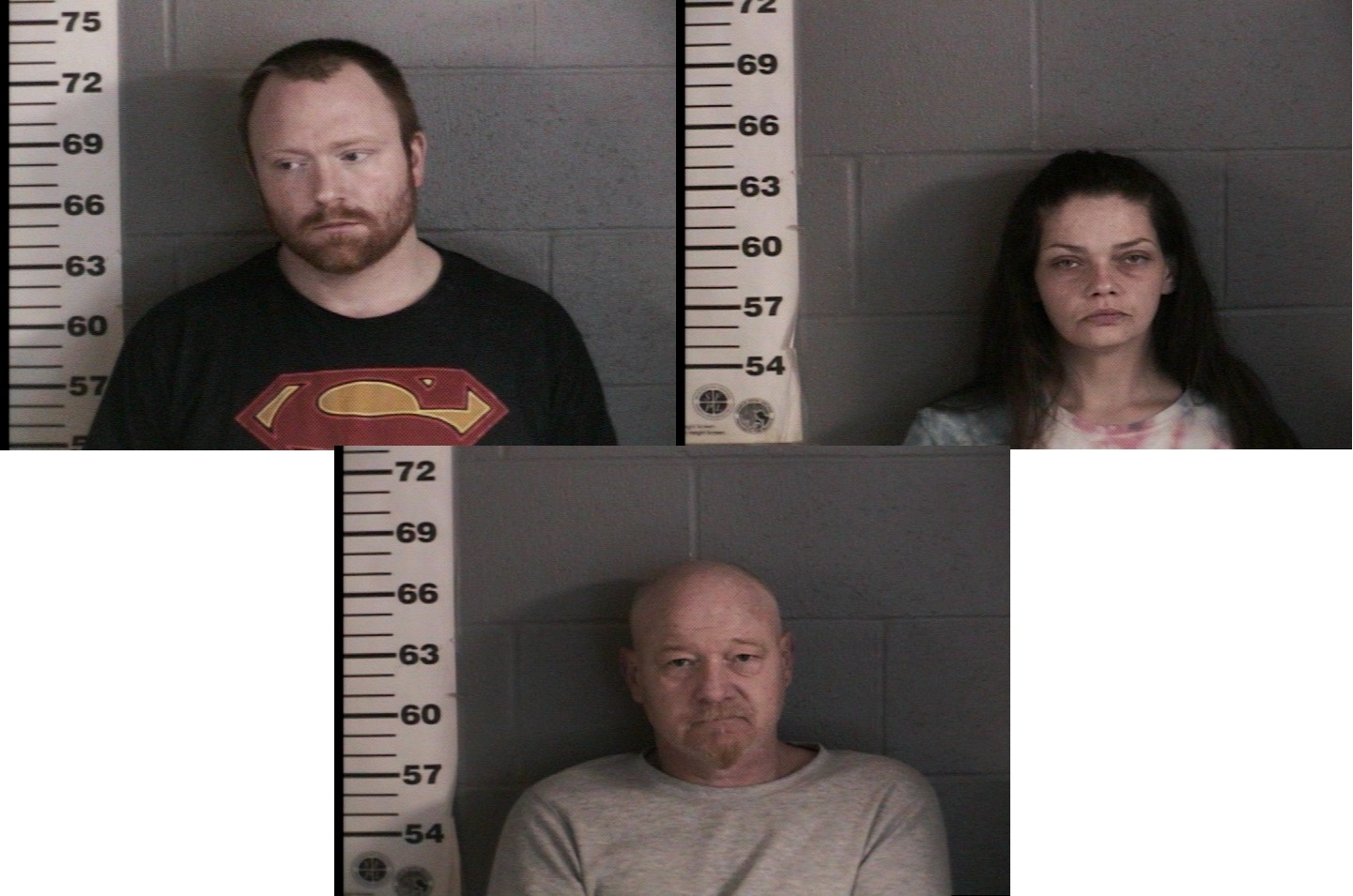 Three Arrested on Drug Warrants in Hardin - Vimarsana News