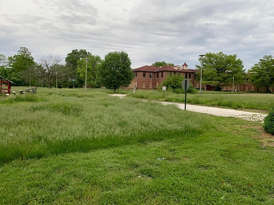 City Officials Unhappy With Derecho Clean Up on JDC Grounds - Vimarsana News
