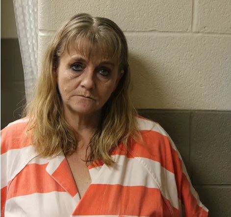 Beardstown Woman Arrested After Meth Delivery Investigation - Vimarsana News