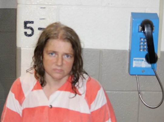 Woman Allegedly Steals Car At Knife-Point in Beardstown, Apprehended After Chase Into Monmouth - Vimarsana News