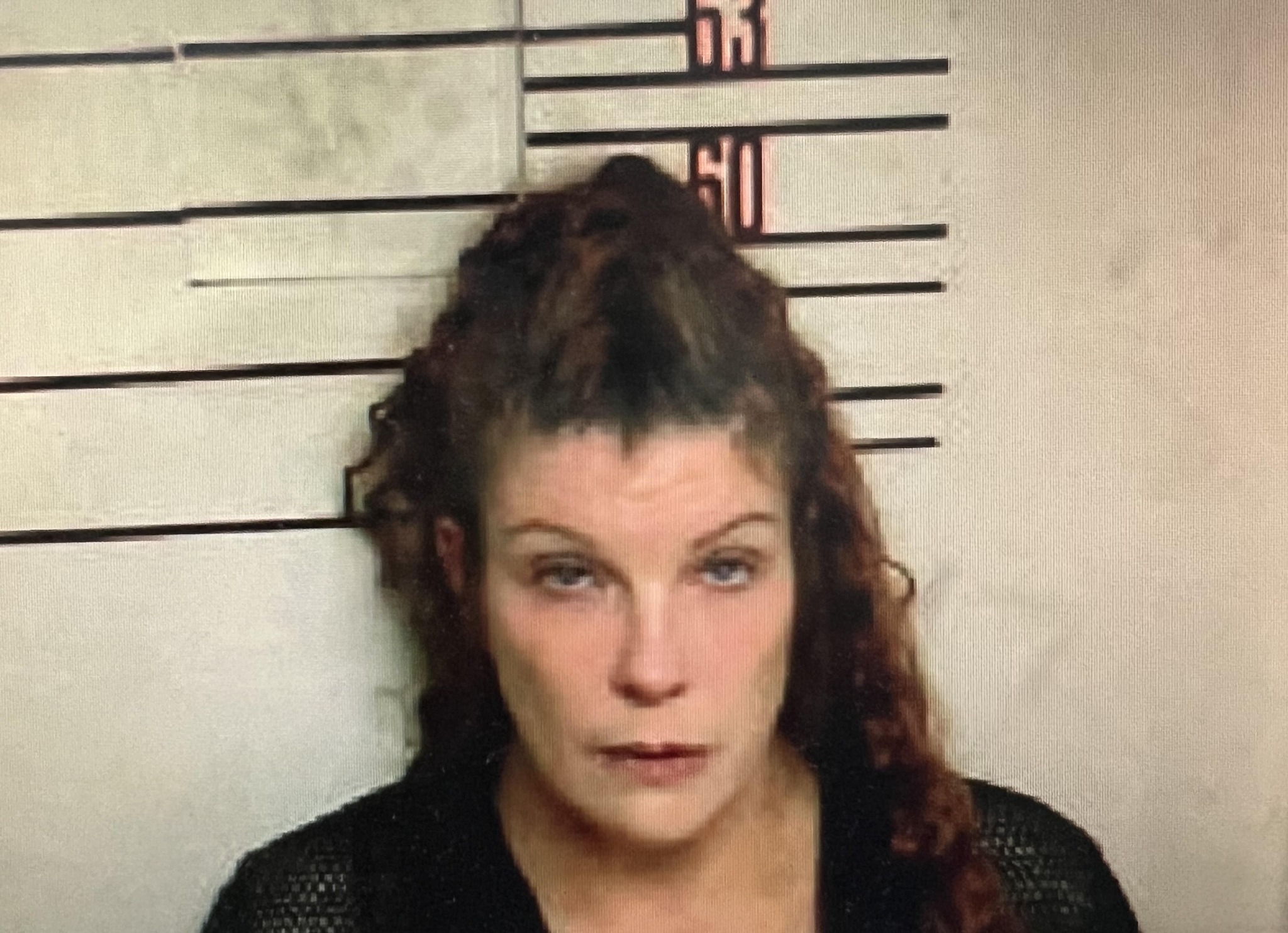Mendon Woman Arrested By Chapin PD In Traffic Stop, Extradited For June 20 Felony Calhoun Traffic Stop - Vimarsana News