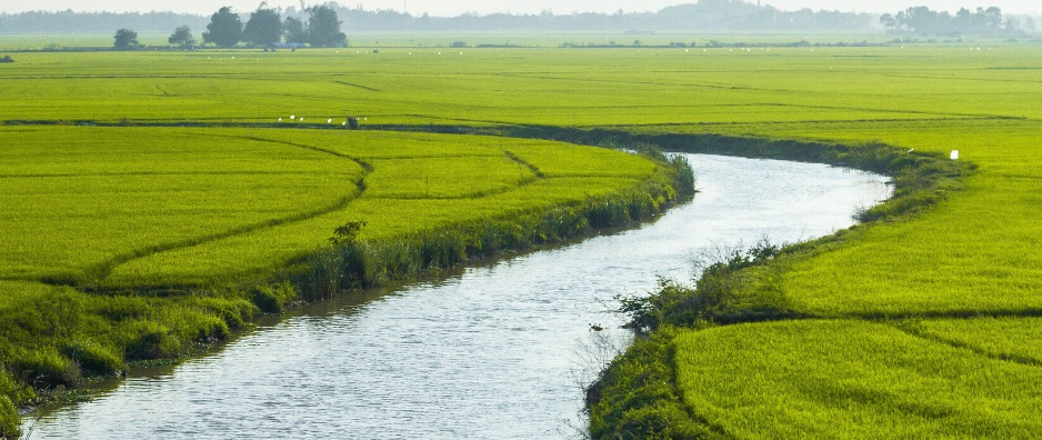 Greene & Calhoun Farm Bureaus Co-Host Nutrient Stewardship Field Day This Thursday - Vimarsana News